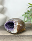 Natural Amethyst Geode with Polished Quartz Shell - STGE0049