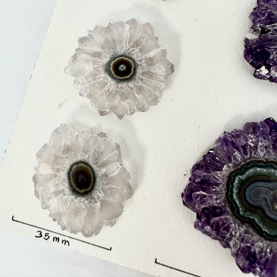 Wholesale Amethyst &amp; Quartz Stalactite Slices for Jewelry Making - Bulk Flat Set - STS0022