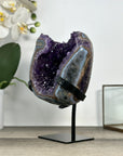 Uruguayan Amethyst Geode with Deep Purple Crystals & Agate Shell - MWS2893