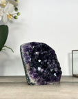 Natural Amethyst Cathedral with Deep Purple Crystals - CBP1259