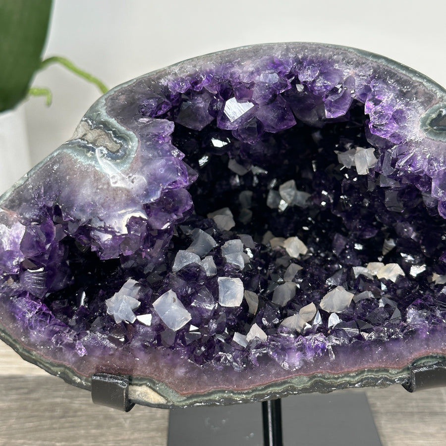 Uruguayan Amethyst Geode with Deep Purple Crystals - MWS2927