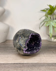 Uruguayan Amethyst Geode with Polished Shell - STGE0090