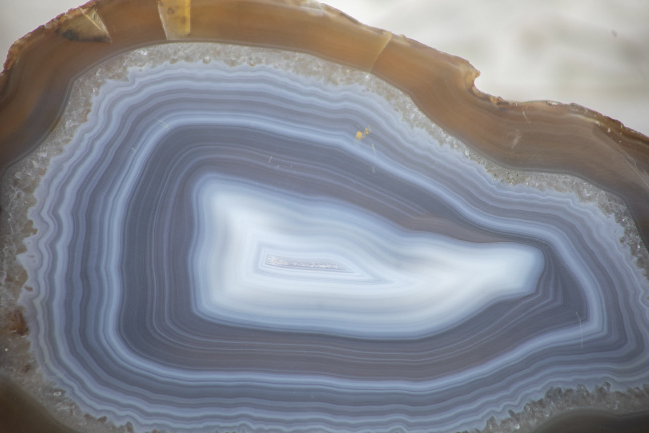 Natural Blue Banded Agate Slice - SLC0003