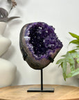 Natural Uruguayan Amethyst Geode on Stand - MWS3097
