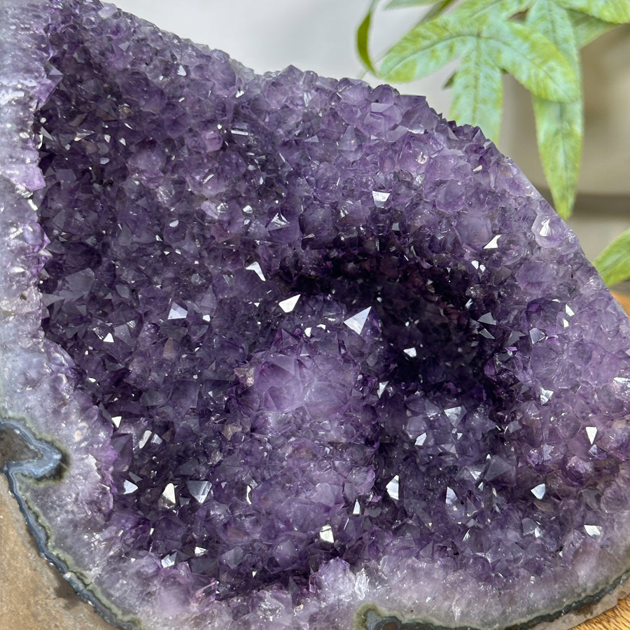 Amethyst Geode with Stalactite Formations - CBP1303
