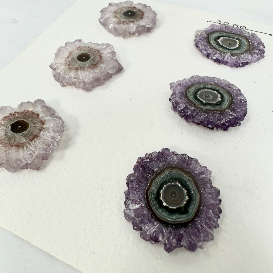 Natural Amethyst &amp; Quartz Stalactite Slices Wholesale Flat - Ideal for Pendants - STS0043