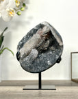 Quartz Crystal with Calite Geode on Stand Mineral Specimen
