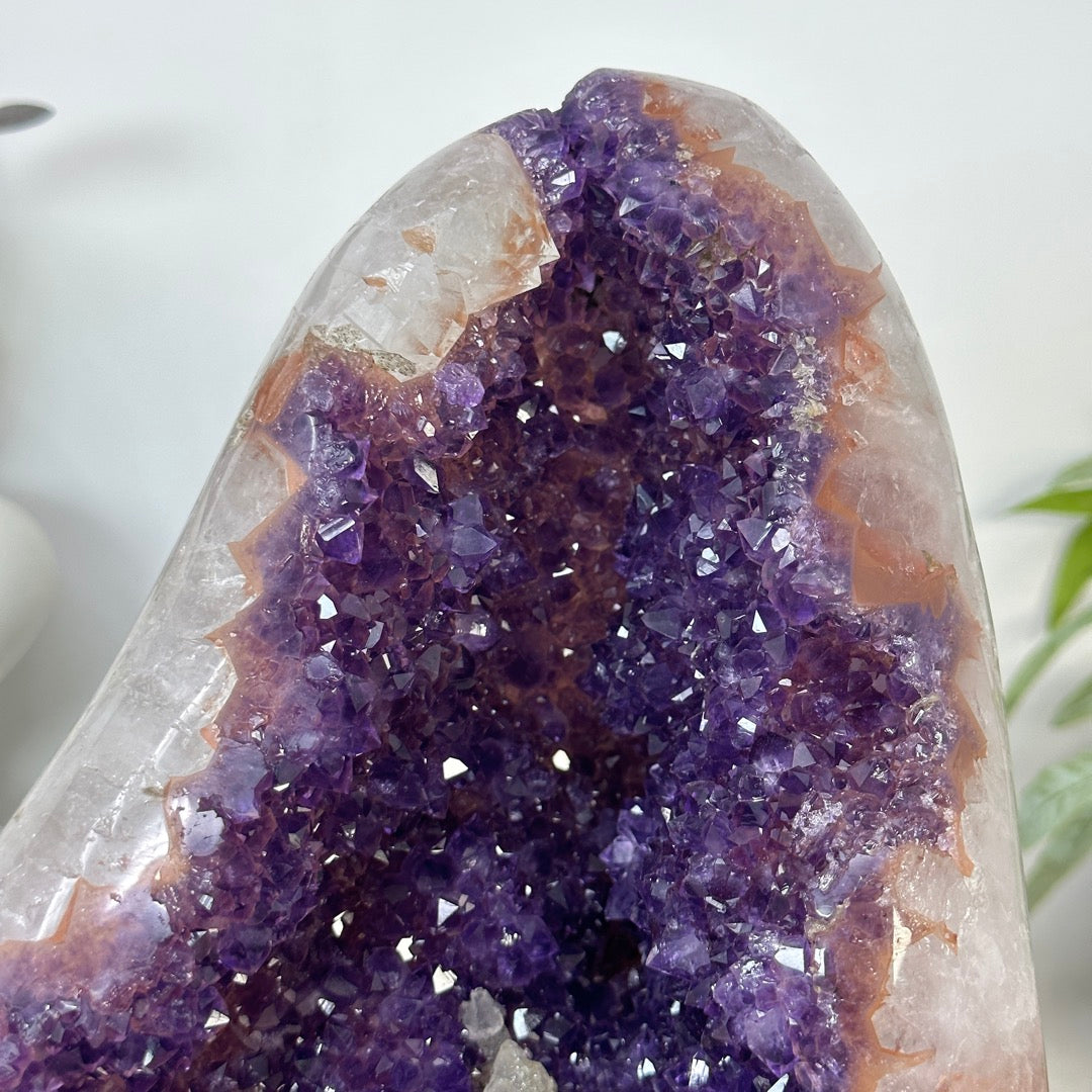 Natural Uruguayan Amethyst Crystal Cluster with XXL Deep Purple Crystals - CBP1404
