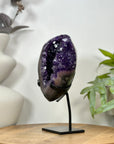 Natural Uruguayan Amethyst Geode on Stand - MWS3097