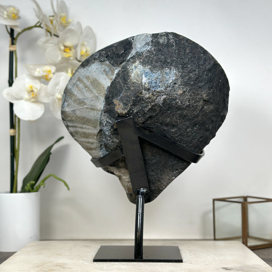 Impresive Large Amethyst Geode with Unique huge Shinny Crystals - MWS1804