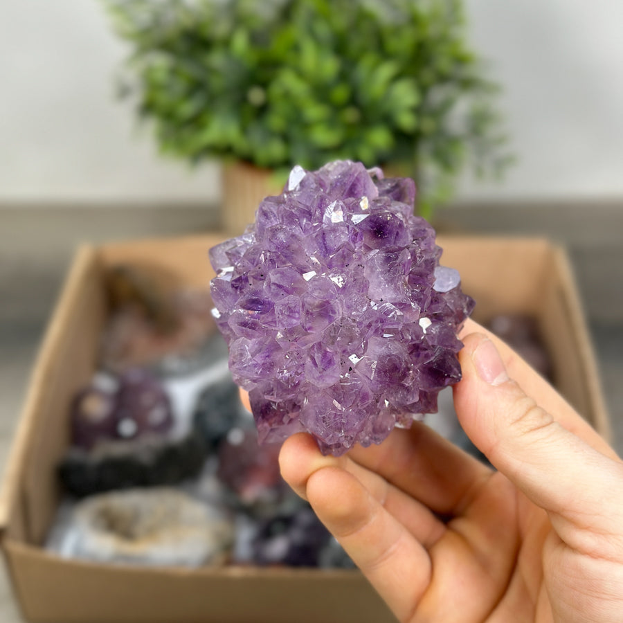 Mineral Specimens Lot - MSLT0184