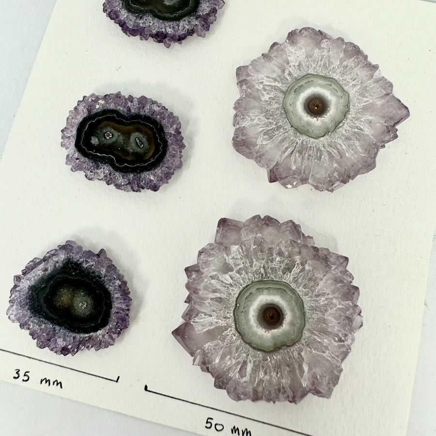 Stunning Amethyst Stalactite Slices for Jewelers - Wholesale Bulk Pack - STS0034