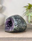 Natural Amethyst Geode with Green Jasper Shell - STGE0092
