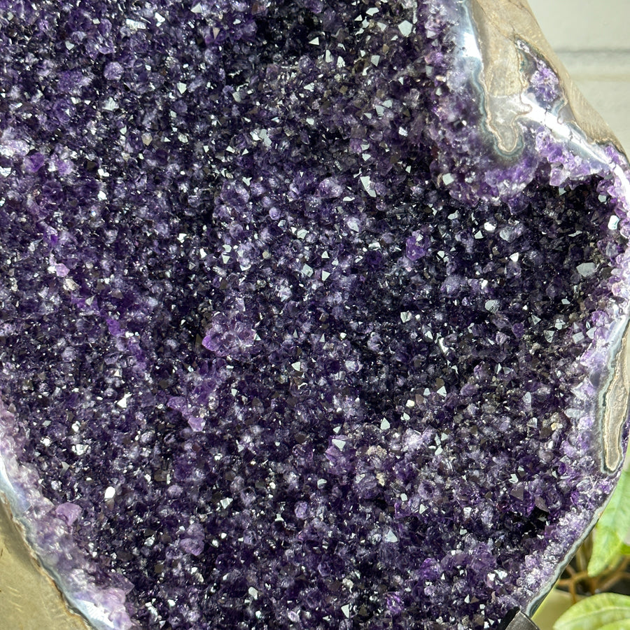 Huge XL Natural Amethyst Geode on Metal Stand - MWS3145