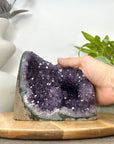 Amethyst Geode with Stalactite Formations - CBP1303