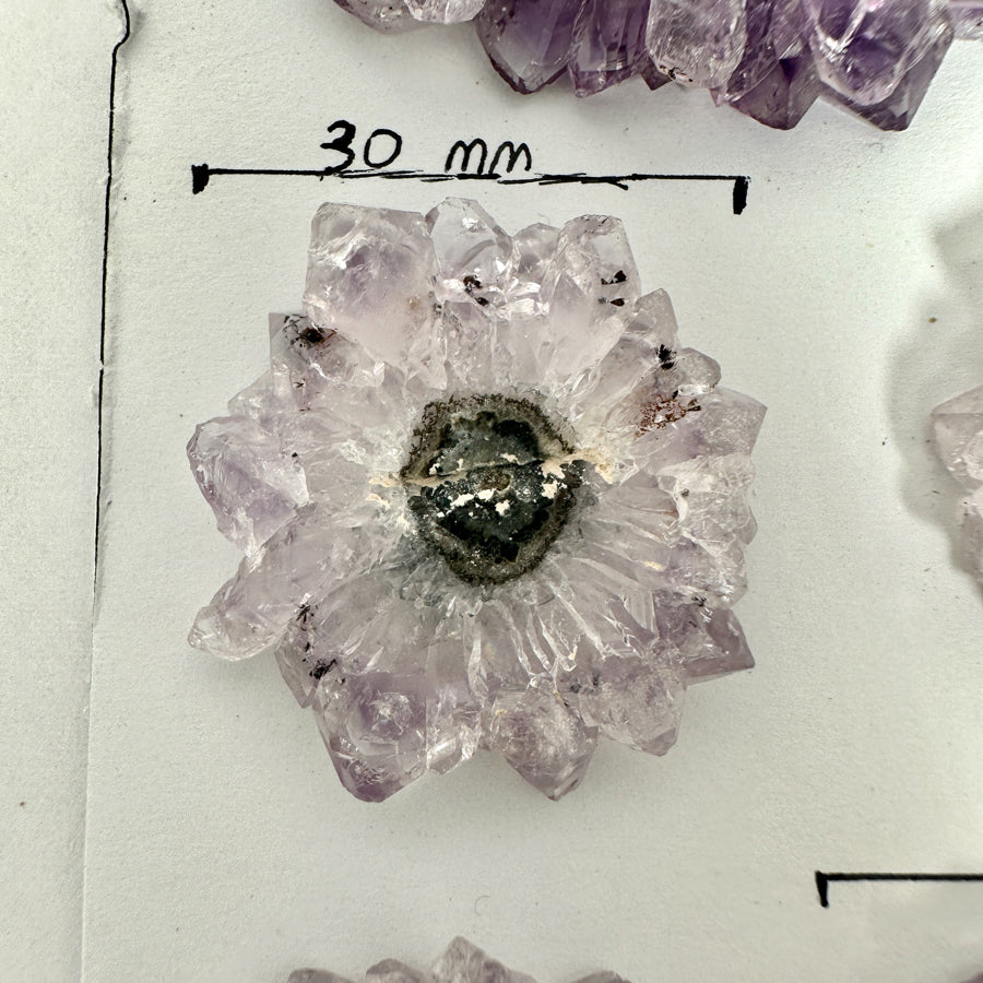 Unique Amethyst Stalactite Slices Set - Natural Crystal for Handmade Jewelry - STS0082