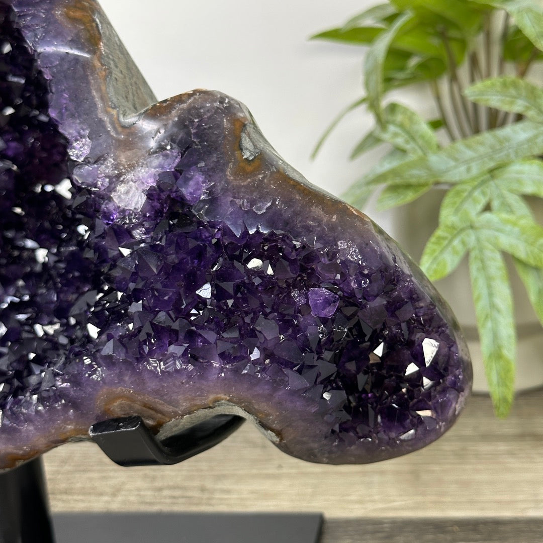 Top Grade Deep Purple Uruguayan Amethyst Geode - MWS3398