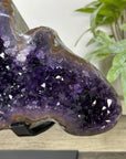 Top Grade Deep Purple Uruguayan Amethyst Geode - MWS3398