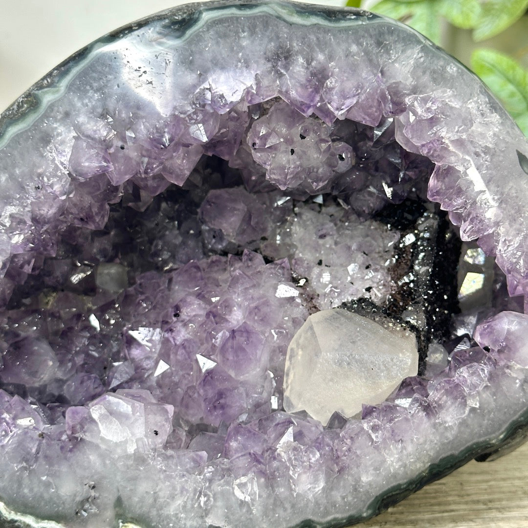 Natural Amethyst Geode with Calcite Crystal Foramtion - STGE0043
