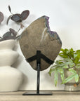 Natural Amethyst Crystal Cluster with Stand from Uruguay - MWS3175