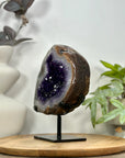 Amethyst & Agate Geode with Polished Shell on Metal Stand - MWS3106