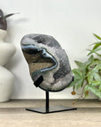 Natural Quartz Geode Statement piece on Stand - MWS3296
