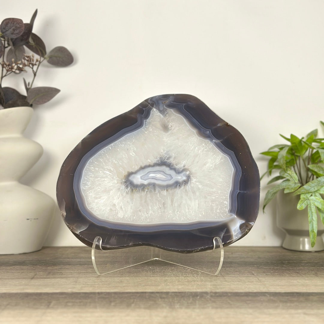 Uruguayan Blue Banded Agate Slice - SLC0023