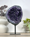 Natural Uruguayan Amethyst Geode with Green Jasper Shell - MWS3087