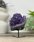 Natural Amethyst Crystal Cluster - MWS3305
