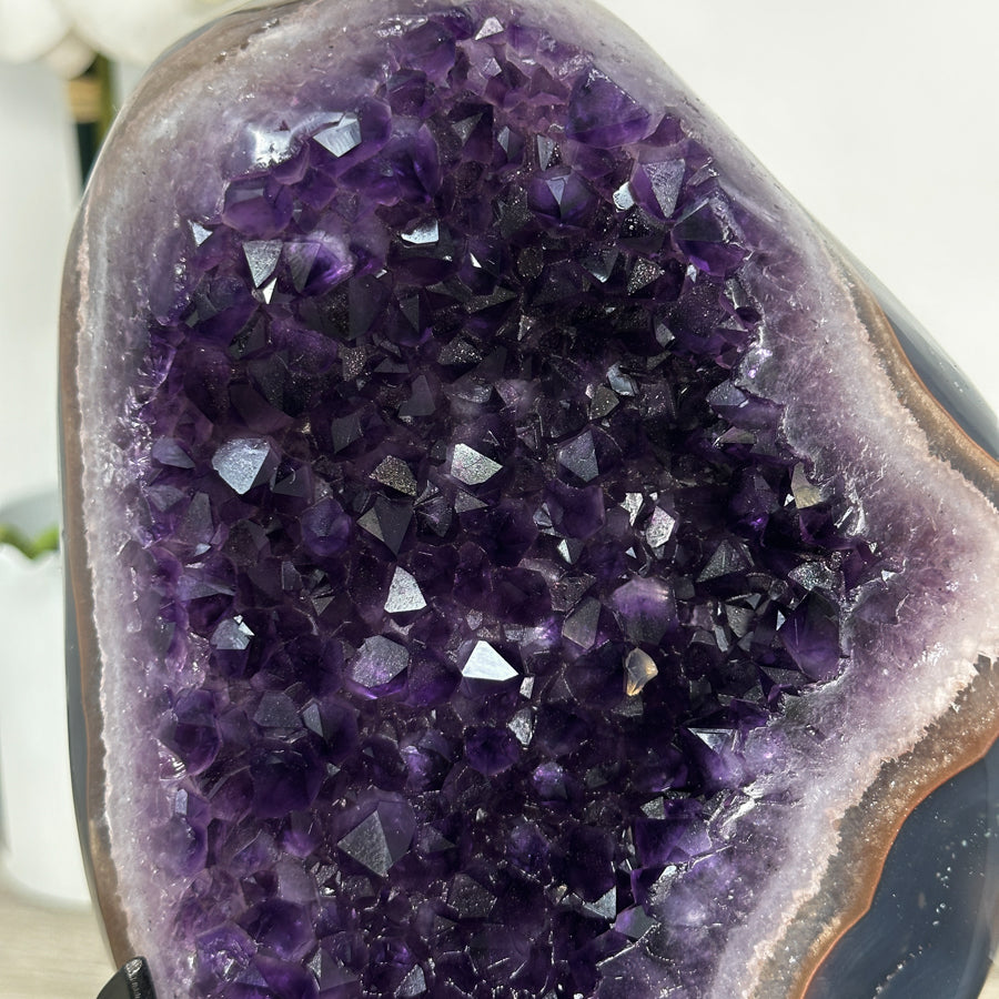 Amethyst Crystal Geode with Natural Agate Shell - MWS2796