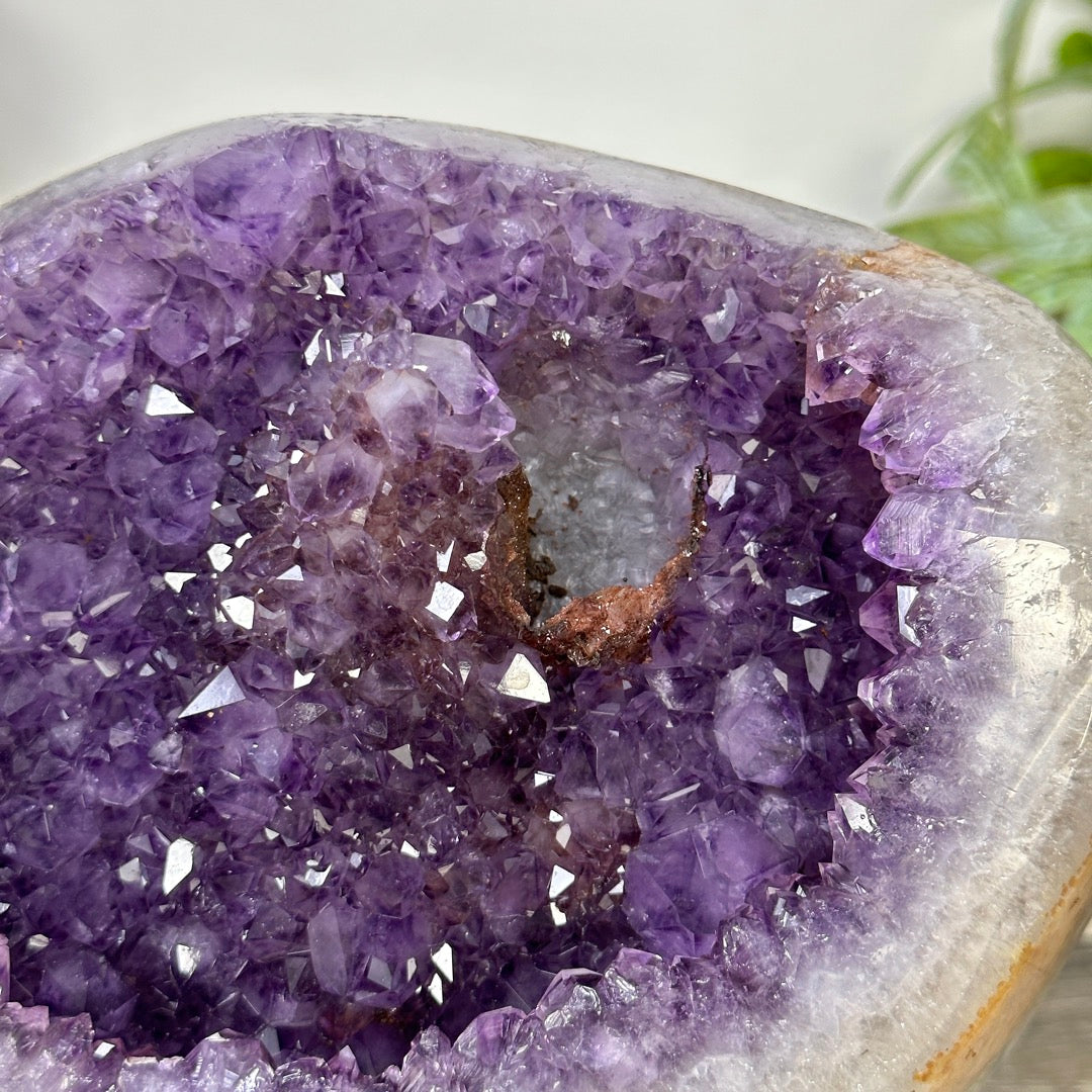 Unique Natural Amethyst Geode with Quartz Shell on Stand - MWS3313