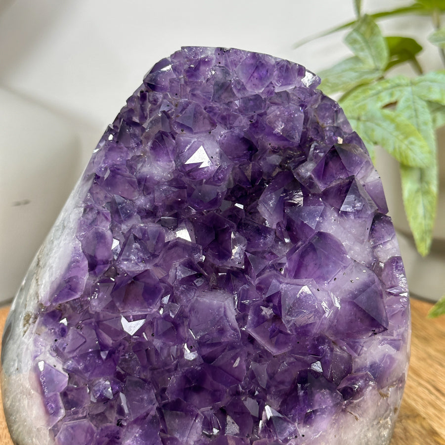 Uruguayan Amethyst Cathedral Statement Piece - CBP1300
