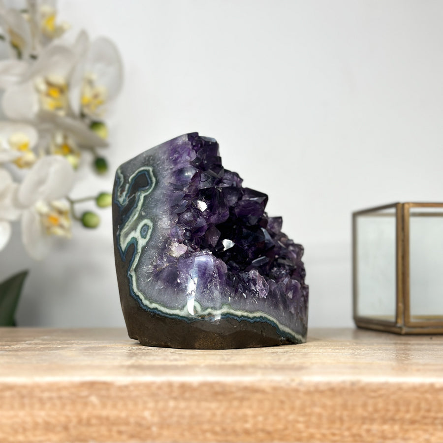 Top Grade Amethyst Crystal Cluster Geode with Deep Purple Points - CBP1148