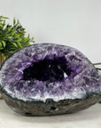 Stunning Amethyst Geode with Large & Shinny Crystals - AMGE0159