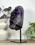 Top Grade Amethyst Specimen on Metal Stand - MWS3224