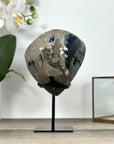 Natural Druzy Quartz Geode in Stand – Unique Black Crystal Display Piece - MWS2897