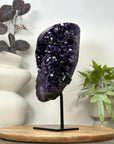 A+ Grade Uruguayan Amethyst Cluster on Stand - MWS3072