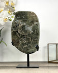 Unique Large Green Quertz Druzy Formation with Calcite Inclusions - MWS2787