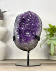 Natural Amethyst Crystal with Metallic Stand - MWS3360