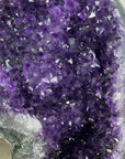 Uruguayan Amethyst Geode with agate Shell Statement Piece - MWS2962