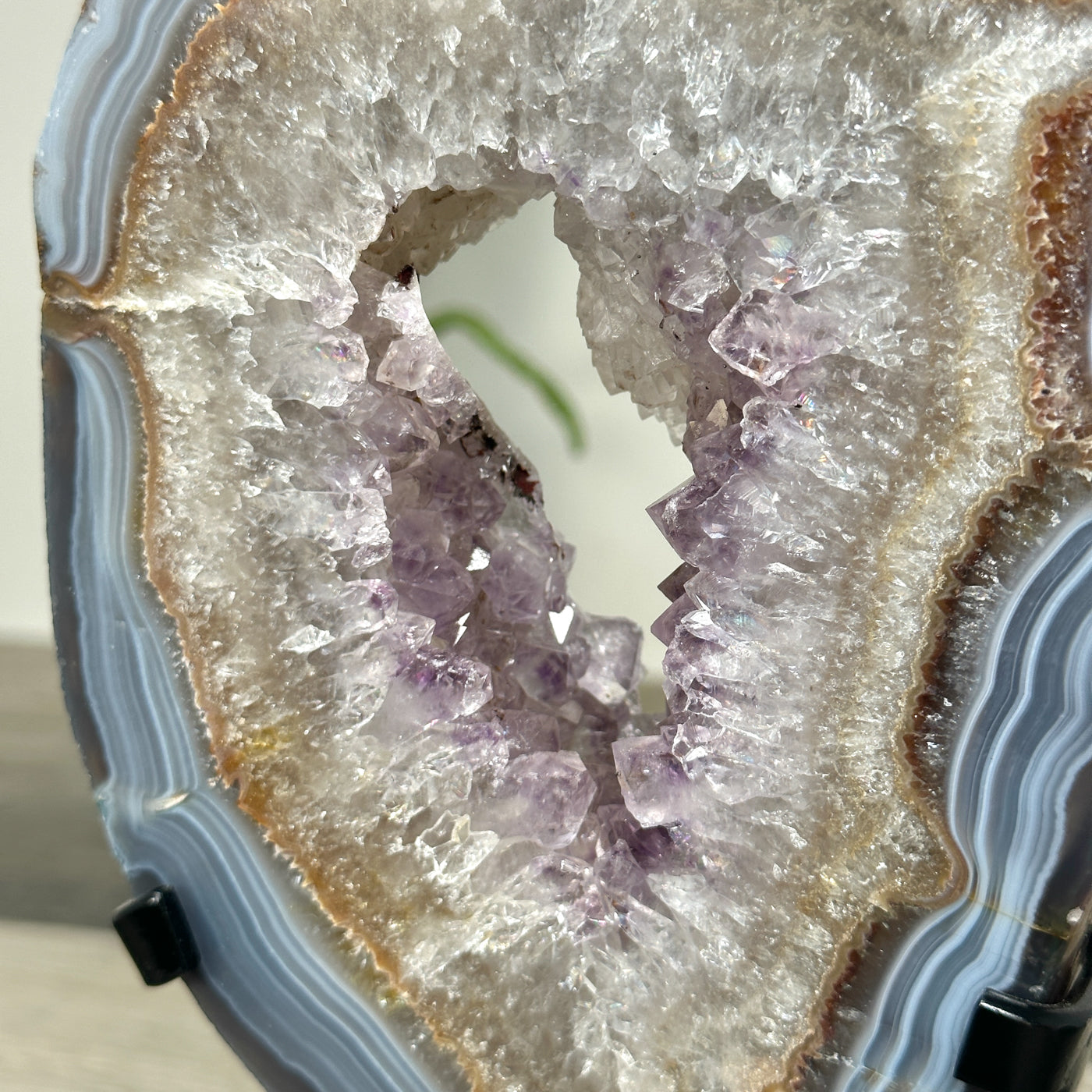 Blue Banded Agate and Amethyst Geode Slice - MWS2654