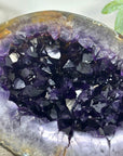 Large Natural Uruguayan Amethyst Geode with Large Crystals - STGE0042