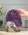 XL Amethyst Cathedral with Rainbow Jasper & Agate Shell - CBP1253
