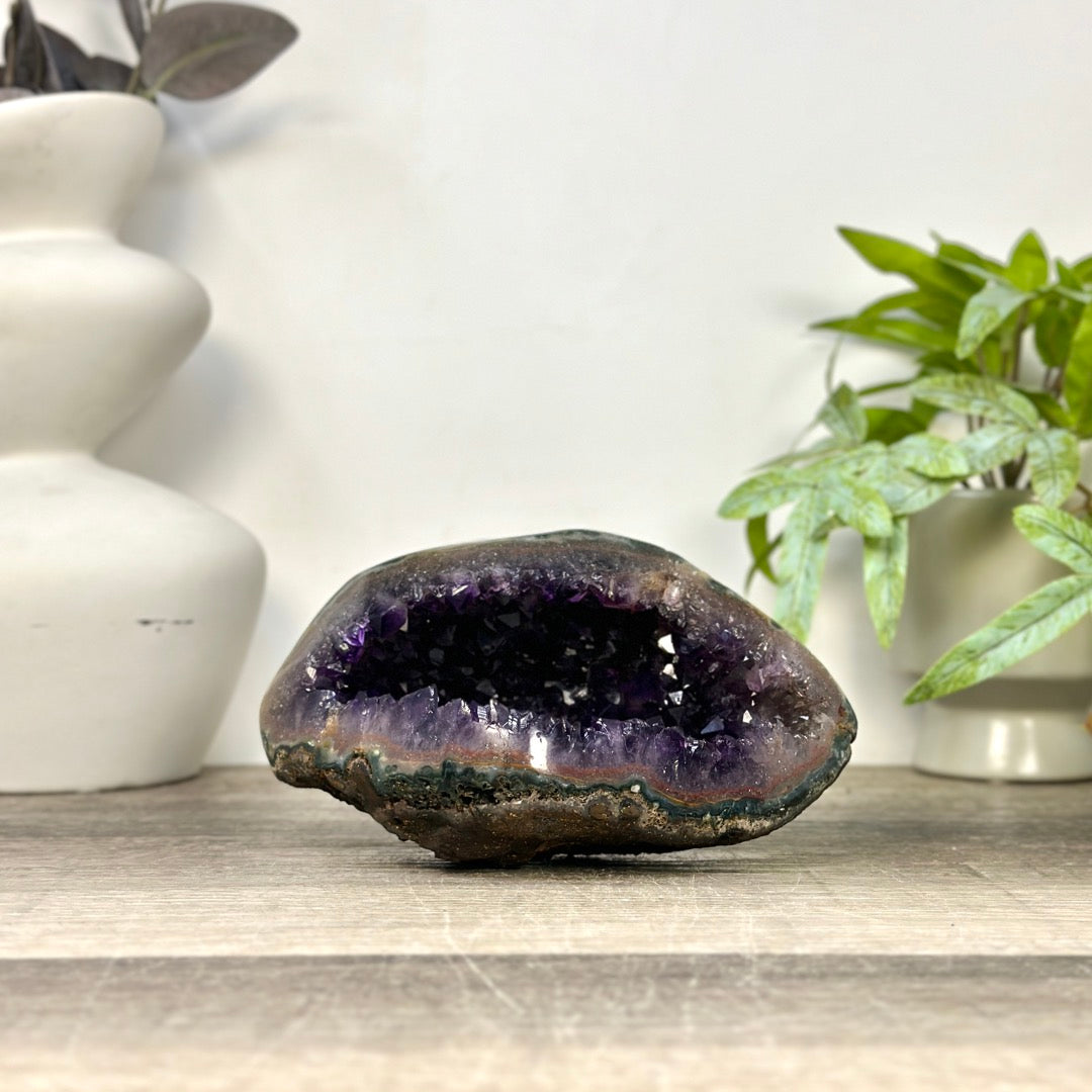 Amethyst Geode with Deep purple Crystals &amp; Polished Shell - STGE0119
