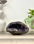 Amethyst Geode with Deep purple Crystals & Polished Shell - STGE0119