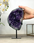 Uruguayan Amethyst Geode with Green Jasper Shell - MWS2466