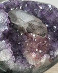 Amethyst Geode With Calcite Crystal Specimen - MWS2731