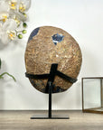 Natural Blue Agate & Amethyst Geode on Stand - MWS3022