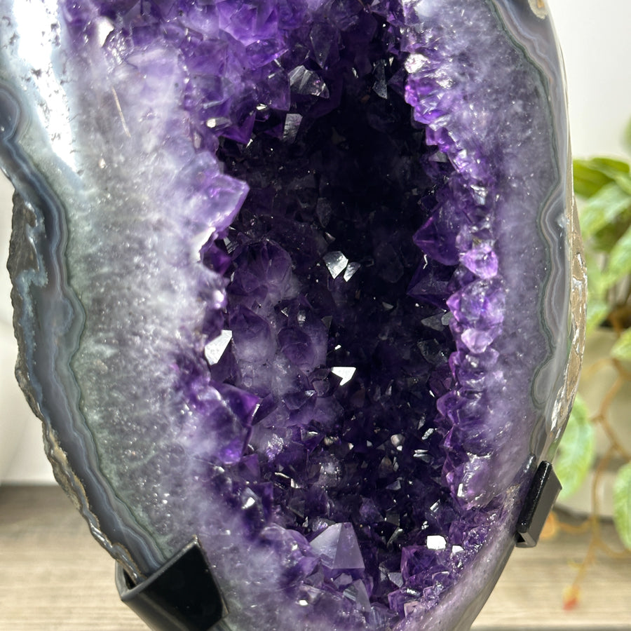 Natural Uruguayan Amethyst Geode - Top Quality Crystal - MWS3190