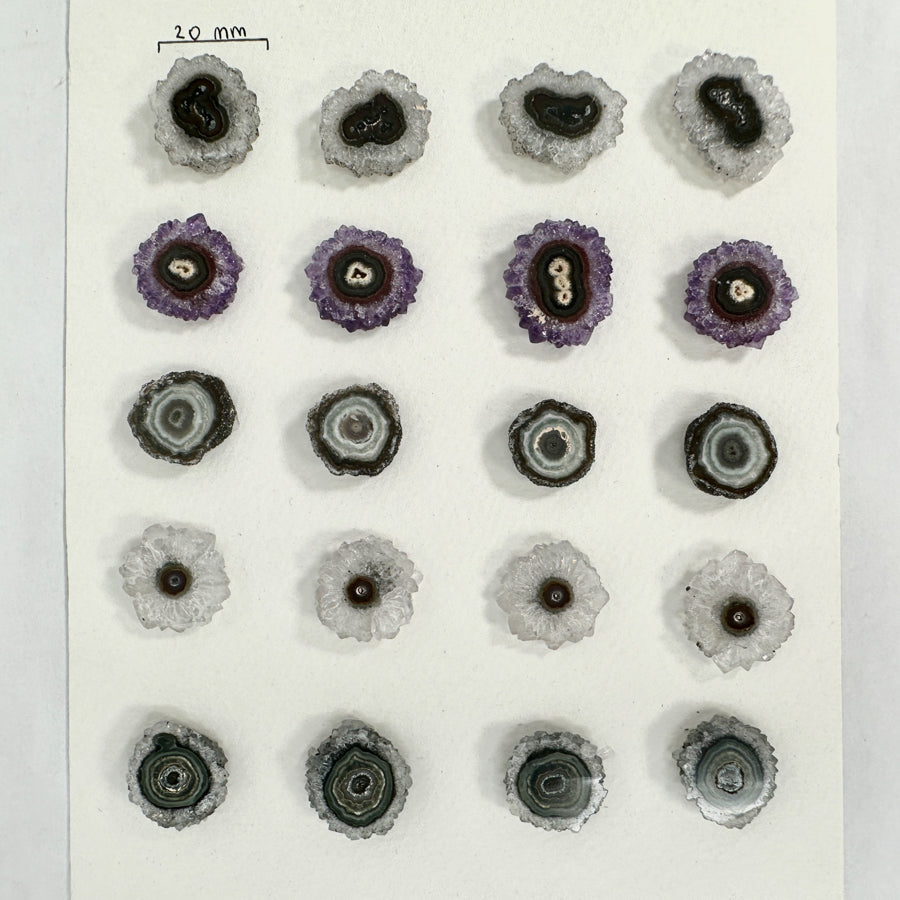 Unique Small Stalactite Slices Set - Natural Crystal for Handmade Jewelry - STS0035